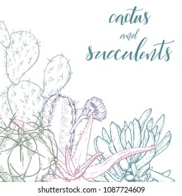 Floral background. Hand drawn vector botanical illustration. Template greeting card, wedding invitation banner with spring flowers. Sketch linear cactus ans succulents . Engraved style illustration.