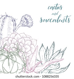 Floral background. Hand drawn vector botanical illustration. Template greeting card, wedding invitation banner with spring flowers. Sketch linear cactus ans succulents . Engraved style illustration.