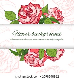 Floral background. Hand drawn vector botanical illustration. Template greeting card, wedding invitation banner with beauty roses. Engraved style illustration.