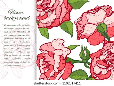 Floral background. Hand drawn vector botanical illustration. Template greeting card, wedding invitation banner with beauty roses. Engraved style illustration.