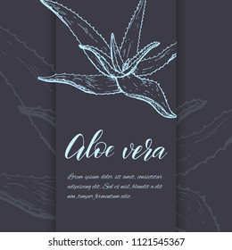Floral background. Hand drawn vector botanical illustration. Template greeting card, wedding invitation banner with spring flowers. Sketch linear cactus ans succulents . Engraved style illustration.