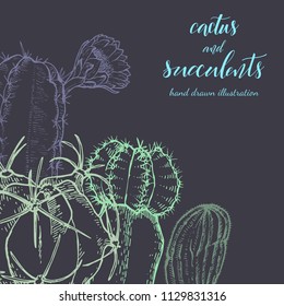 Floral background. Hand drawn vector botanical illustration. Template greeting card, wedding invitation banner with spring flowers. Sketch linear cactus ans succulents . Engraved style illustration.