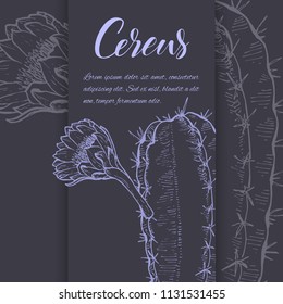 Floral background. Hand drawn vector botanical illustration. Template greeting card, wedding invitation banner with spring flowers. Sketch linear cactus ans succulents . Engraved style illustration.