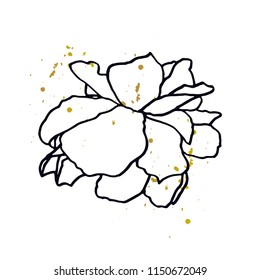 Floral background. Hand drawn vector botanical illustration. 