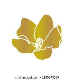 Floral background. Hand drawn vector botanical illustration. 