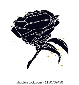 Floral background. Hand drawn vector botanical illustration of camellia. 