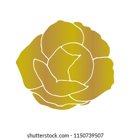 Floral background. Hand drawn vector botanical illustration of camellia. 