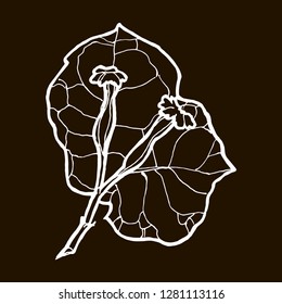 Floral background. Hand drawn vector botanical illustration. 
