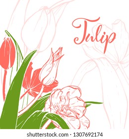 Floral background. Hand drawn vector botanical illustration. Template greeting card, wedding invitation banner with spring flowers. Sketch linear tulips blossom. Engraved style illustration.