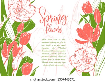 Floral background. Hand drawn vector botanical illustration. Template greeting card, wedding invitation banner with spring flowers. Sketch linear tulips blossom.Engraved style illustration.