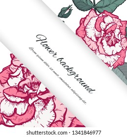 Floral background. Hand drawn vector botanical illustration. Template greeting card, wedding invitation banner with beauty roses. Engraved style illustration.