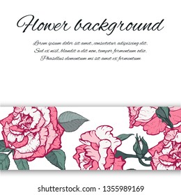 Floral background. Hand drawn vector botanical illustration. Template greeting card, wedding invitation banner with beauty roses. Engraved style illustration.