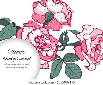 Floral background. Hand drawn vector botanical illustration. Template greeting card, wedding invitation banner with beauty roses. Engraved style illustration.