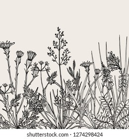 Floral background with hand drawn wild flowers, herbs and grasses. Vintage botanical vector illustration