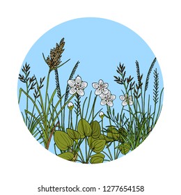 Floral background with hand drawn wild flowers, herbs and grasses. Vintage botanical vector illustration