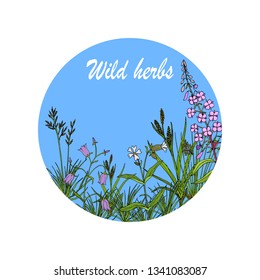 Floral background with hand drawn wild flowers, herbs and grasses. Vintage botanical vector illustration