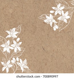 Floral background with hand-drawn branches of flowers neroli. Vector illustration on a kraft paper with  place for text. Invitation, greeting card or an element for your design.
