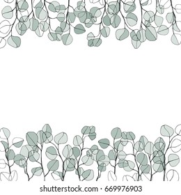 Floral background with hand-drawn branches of silver eucalyptus. Vector illustration with  place for text on white background. Invitation, greeting card or an element for your design.