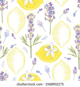 Floral background with hand-drawn lavender flowers and lemons. Vector illustration on white.