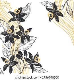 Floral background with hand-drawn orange flowers. Vector illustration on white  background  with  place for text. Invitation, greeting card or an element for your design.