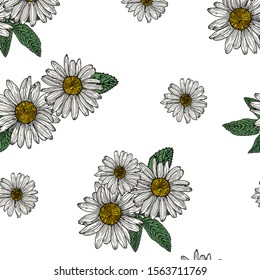 Floral background. Hand-drawn vector illustration.