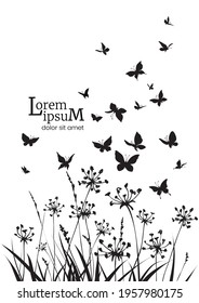 Floral background with herbs, flowers and butterflies. Spring or summer background. Vector illustration.