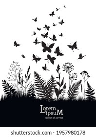 Floral background with herbs, flowers and butterflies. Spring or summer background. Vector illustration.