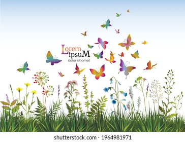 Floral background with of herbs, flowers and butterflies. Spring or summer background. Vector illustration.