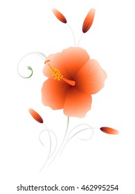 Floral background with hibiscus, element for design.