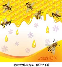 Floral background with honey and bees