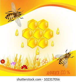 Floral background with honey and bees