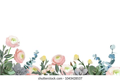 Floral background isolated on white. Banner concept with ranunculus, eucalyptus and succulents. Botanical illustration. EPS10 vector file - stock vector