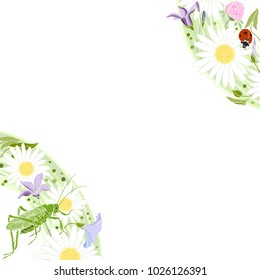 Floral  background with ladybirds, grasshopper and place for text. Vector illustration. Invitation, greeting card or an element for your design.