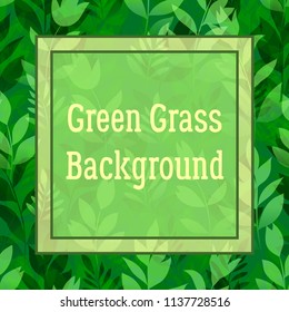 Floral Background, Landscape, Summer or Spring Meadow, Green Grass, Flowers Silhouettes and Frame for Your Text. Vector
