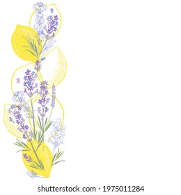 Floral background with  lavender flowers, lemons and place for text. Vector illustration on  white. Invitation, greeting card or an element for your design. Vertical composition.