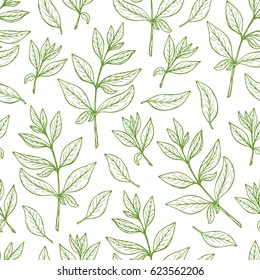 Floral background. Leaves Seamless pattern. Henna plant. Vector leaf. 