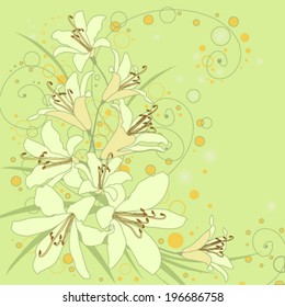 floral background with lilies