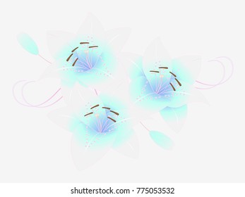 Floral background with lilies, element for design.