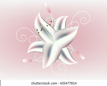 Floral background with lily.