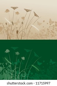 floral background, meadow