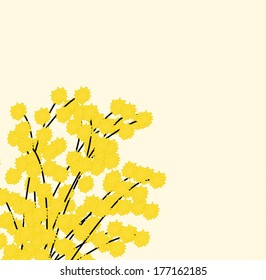 Floral background with mimosa flowers, vector illustration