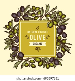 Floral background with olive branches and other health foods. Vector illustrations organic olive vintage in hand drawn style