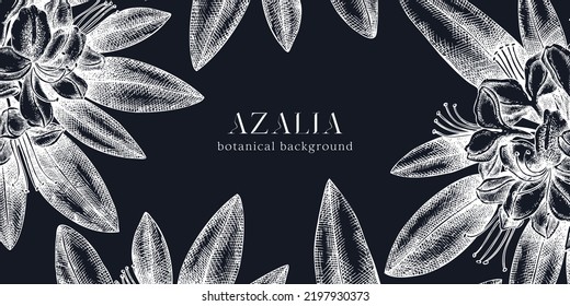 Floral background on chalkboard. Vector frame with hand drawn azalia sketches. Vintage design with rhododendron flowers and leaves. Evergreen plants botanical illustration for banner, postcards, web