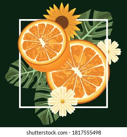 floral background with oranges and flowers in square frame vector illustration design