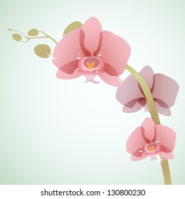 Floral background with orchid