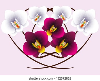Floral background with orchids.