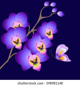Floral background with orchids and butterfly.