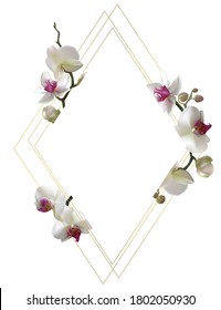 Floral background. Orchids. Frame decorated with tropical flowers. Vector illustration. Buds.