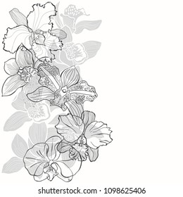 Floral background with orchids on a white background. Vector illustration with place for text. Vertical composition. Greeting card, invitation or isolated elements for design.