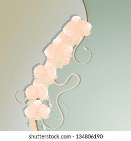 Floral background with pale orchid. Vector illustration